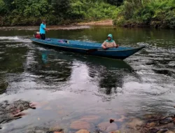 Potensi Kalimantan Utara dalam Sumber Daya Alam dan Ekonomi Regional