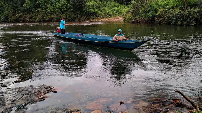 Potensi Kalimantan Utara dalam Sumber Daya Alam dan Ekonomi Regional